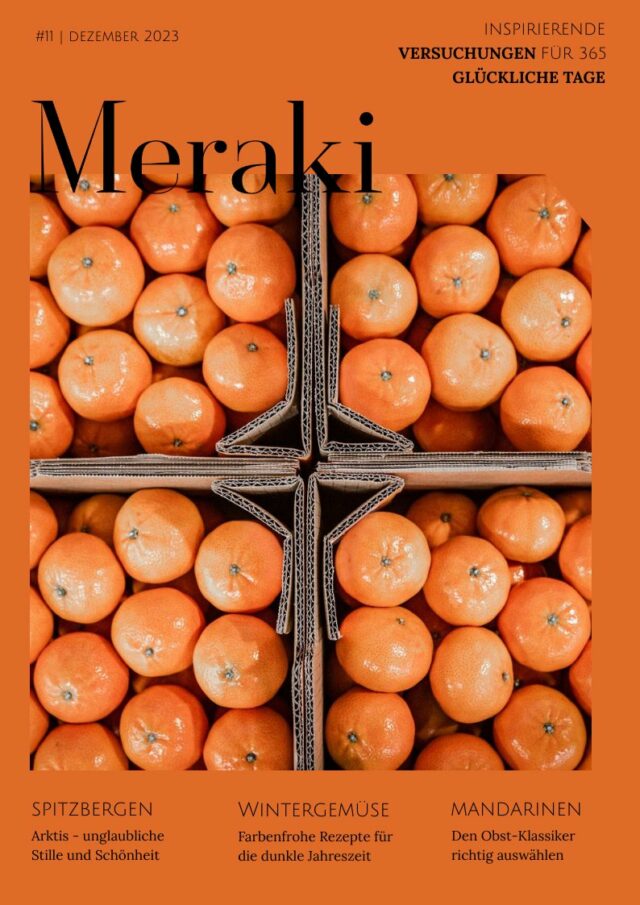 Magazin Meraki #11 Winter